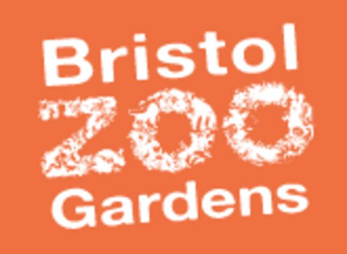 Bristol Zoo: